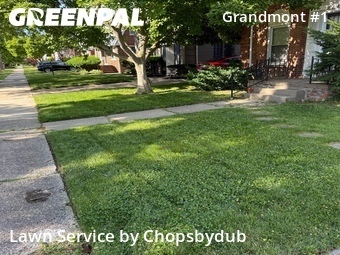 Affordable Landscaping Maintenance Services In Detroit,48223,Landscape Design by Chopsbydub, work completed in Jun , 2026