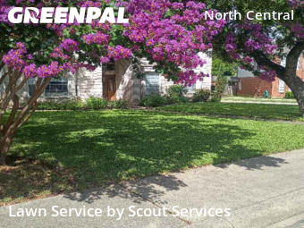 Grass Cut nearby San Antonio, TX, 