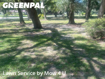 Lawn Mow nearby Tallahassee, FL, 