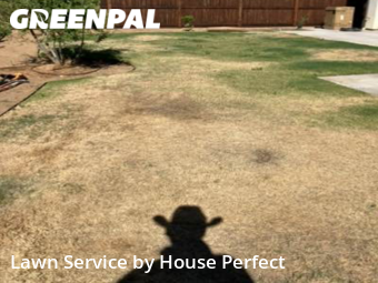 Lawn Mow nearby Fresno, CA, 