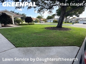 Lawn mowed in Naples, 34119