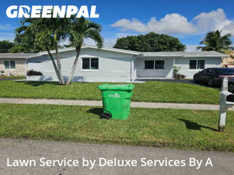 Lawn Mowing Servicein Sunrise,33322,Lawn Cutting by Deluxe Services By A, work completed in Dec , 2025