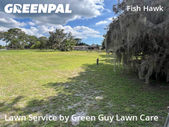Lawn Mowing nearby Lithia, FL, 