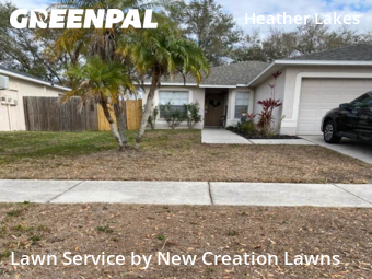 Lawn mowed in Brandon, 33511