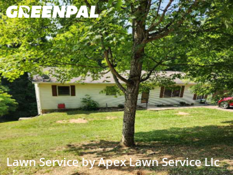Lawn Mow nearby Kingsport, TN, 