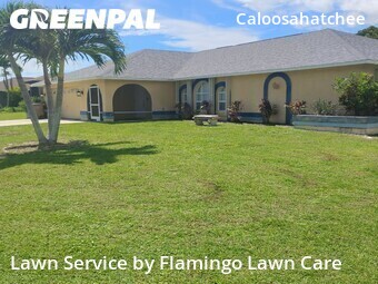 Lawn Mow nearby Cape Coral, FL, 