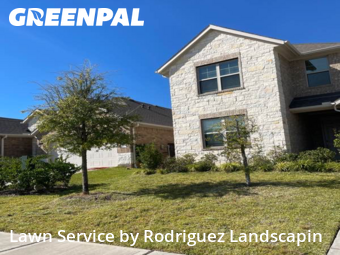 Landscaping Maintenance in Montgomery, 77356, Yard Care by Rodriguez Landscapin, work completed in Nov , 2025