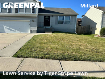 Lawn Mowing nearby Omaha, NE, 