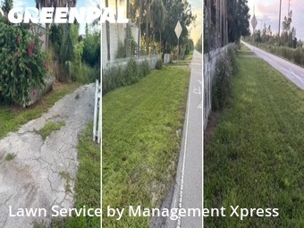 Yard Mowing nearby Punta Gorda, FL, 