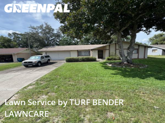Grass Cut nearby Spring Hill, FL, 