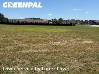 Lawn Maintenance nearby Dalworthington Gardens, TX, 