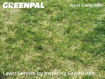Lawn Service nearby Colorado Springs, CO, 