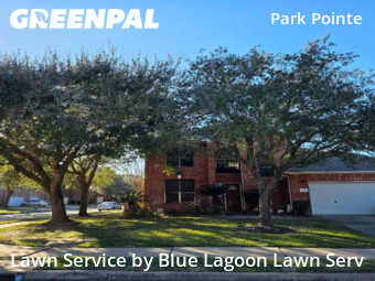 Yard Cuttingin Sugar Land,77498,Lawn Mowing by Blue Lagoon Lawn Serv, work completed in Feb , 2026