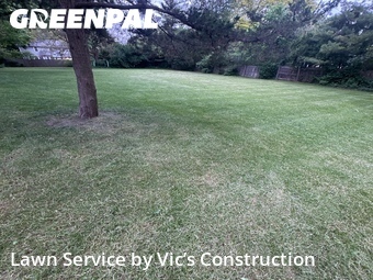 Lawn Service nearby Lisle, IL, 