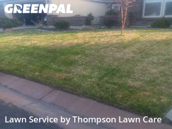 Grass Cut nearby Reno, NV, 