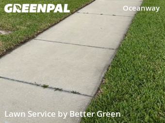 Lawn Care Service nearby Ponte Vedra Beach, FL, 