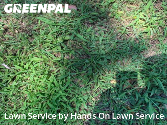 Lawn Cut nearby Independence, MO, 