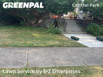 Grass Cutting nearby Buffalo, NY, 