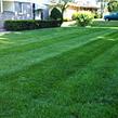 residential-lawn-cutting-businesses-in-Evansville-IN
