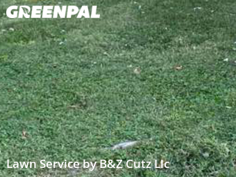 Lawn Cutting nearby Evansville, IN, 