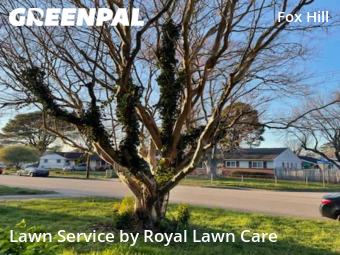 Lawn Cutting nearby Hampton, VA, 