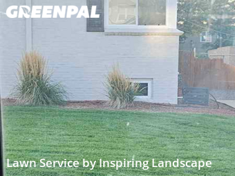 Yard Care in Wheat Ridge, 80212, Yard Grooming by Inspiring Landscape, work completed in Oct , 2025