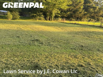 Yard Cutting nearby New Hope, AL, 