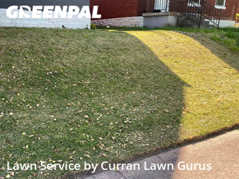 Lawn Maintenance nearby St. Louis, IL, 