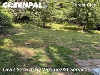 Grass Cutting nearby Silver Spring, MD, 