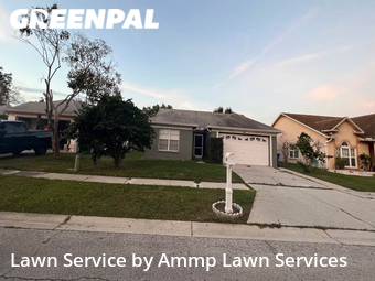 Grass Cutting nearby Palm Harbor, FL, 