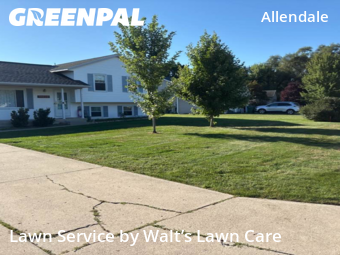 Grass Cutting in Allendale, 49401, Lawn Upkeep by Walt’s Lawn Care, work completed in Oct , 2025