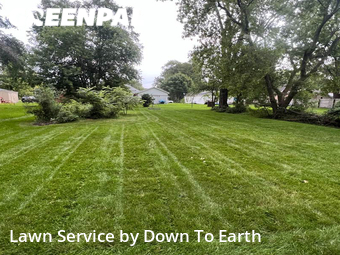 Lawn Mowing Service nearby Bay City, MI, 
