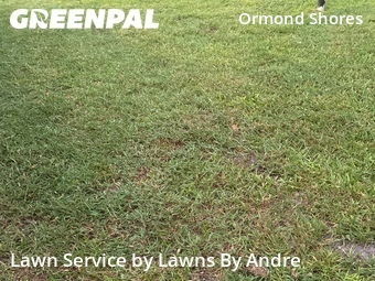 Lawn Mowing nearby Ormond Beach, FL, 