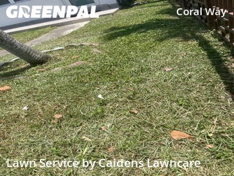 Lawn Mowing Service nearby Miami, FL, 