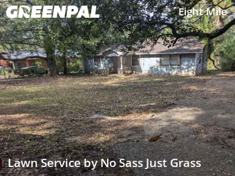 Yard Care in Prichard, 36613, Backyard Mowing by No Sass Just Grass, work completed in Nov , 2025