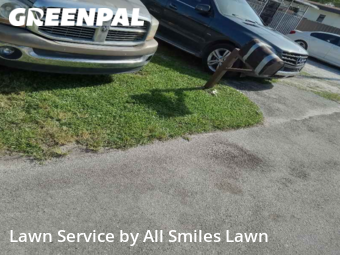 Grass Cut nearby Miami, FL, 