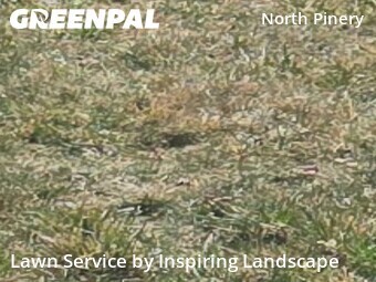 Yard Cutting nearby Parker, CO, 