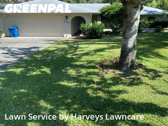 Yard Cutting nearby Spring Hill, FL, 
