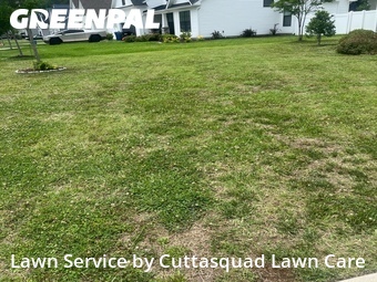 Grass Cutting nearby Virginia Beach, VA, 