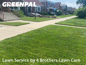 Grass Cutting nearby Chicago, IL, 