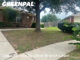 Grass Cut nearby Haslet, TX, 