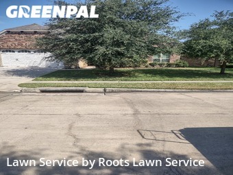 Lawn Cut nearby Houston, TX, 