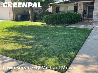Lawn Cut nearby Fort Worth, TX, 