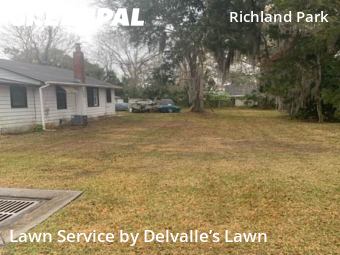 Lawn Care nearby Daytona Beach, FL, 