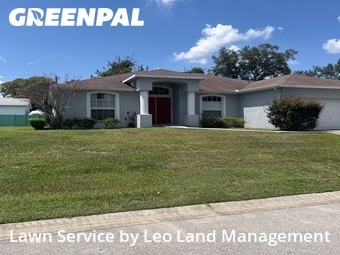 Yard Cutting nearby Lakeland, FL, 