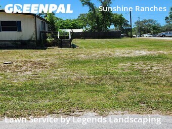 Lawn Cut nearby New Port Richey, FL, 