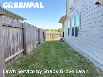 Lawn Cut nearby Hutto, TX, 