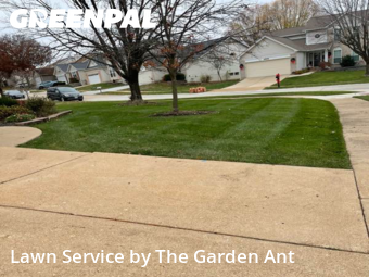 Lawn Mowing nearby Wildwood, MO, 