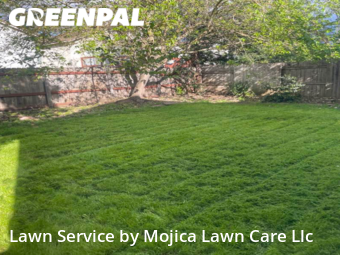 Yard Cutting nearby Elk Grove, CA, 