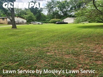 Yard Mowing nearby Clarksville, TN, 